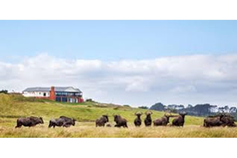 0 Bedroom Property for Sale in Royalston Residential Estate and Wildlife Reserve Eastern Cape